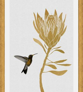 Cuadro Hummingbird and Flower I