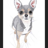Cuadro Chihuahua