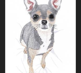 Cuadro Chihuahua