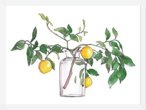 Cuadro Lemon Branch