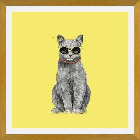Cuadro Summer Cat