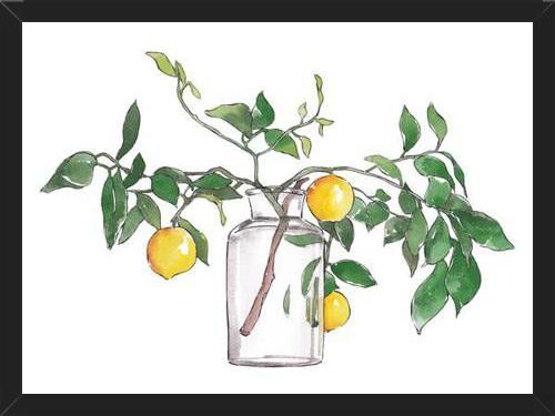 Cuadro Lemon Branch