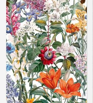 Cuadro Vintage Garden IX