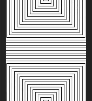 Cuadro ilusión de óptica