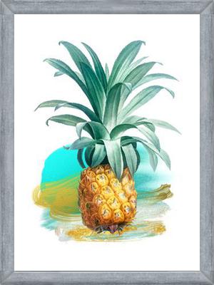 Cuadro The Pineapple II