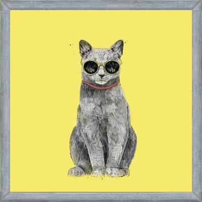 Cuadro Summer Cat