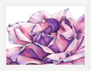 Cuadro Rosa