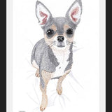 Cuadro Chihuahua
