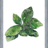 Cuadro ALBAHACA