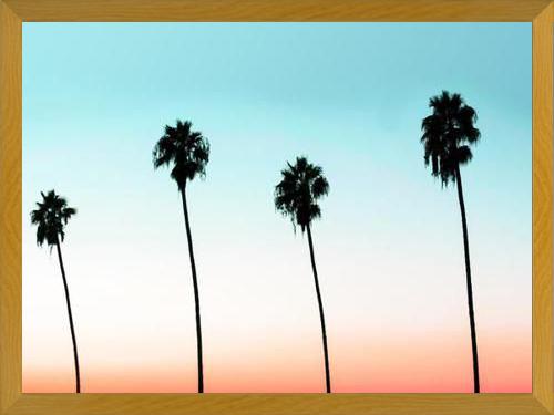 Cuadro Sunset Boulevard