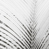 Canvas b'Nature Mood White'