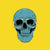 Canvas Blue skull