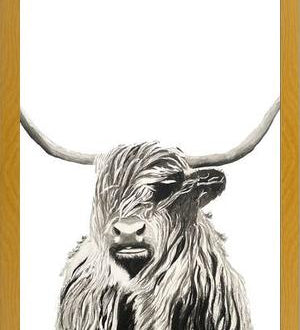 Cuadro Highland cow watercolor