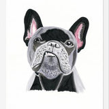 Cuadro Bulldog Rockstar