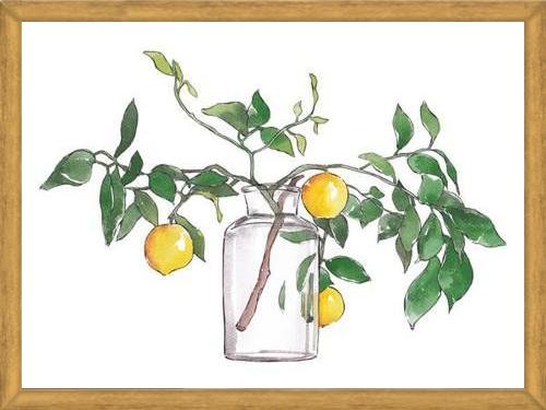 Cuadro Lemon Branch