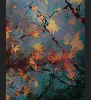 Cuadro Autumnal Foliage