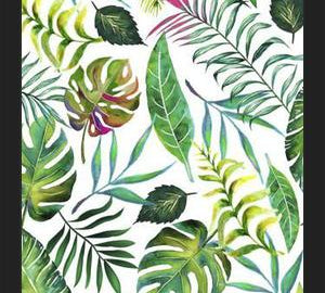 Cuadro Tropical Flora