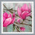 Cuadro magnolias 1 de 3