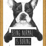 Cuadro Being normal is Boring