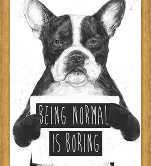 Cuadro Being normal is Boring