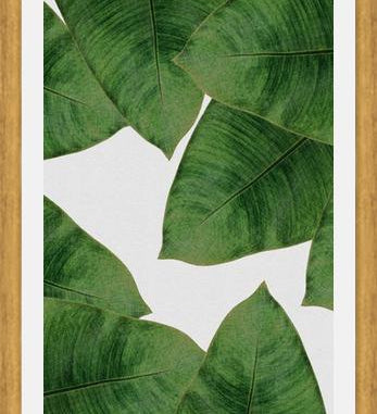Cuadro Banana Leaf II