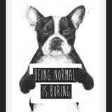 Cuadro Being normal is Boring