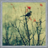 Cuadro Autumn Bird