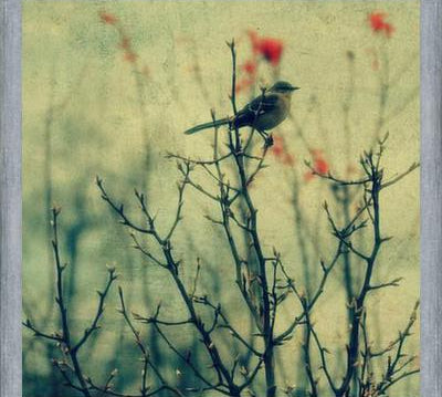 Cuadro Autumn Bird