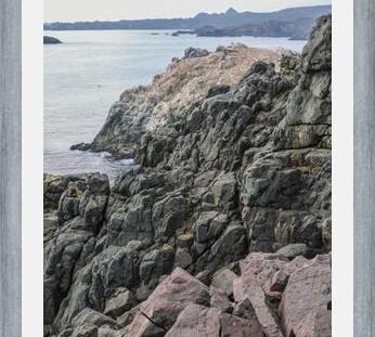 Cuadro PUQUEN III