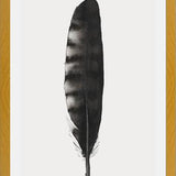Cuadro Pluma Acuarela 3