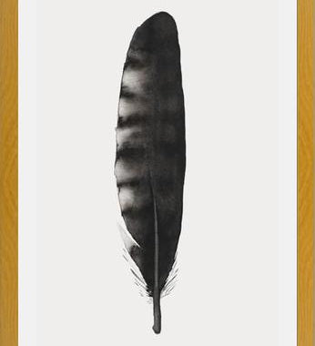 Cuadro Pluma Acuarela 3