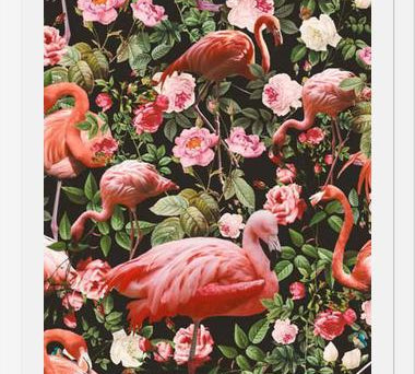Cuadro Floral and Flamingo Pattern