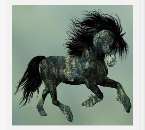 Cuadro Horse Exposure