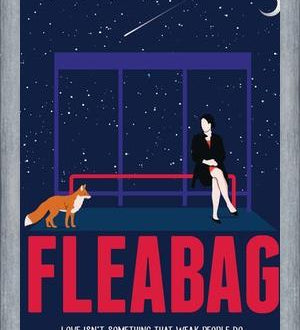 Cuadro Fleabag