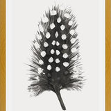 Cuadro Pluma Acuarela 4