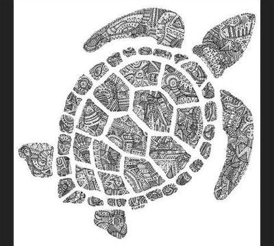 Cuadro Tortuga2