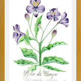 Cuadro alstroemeria