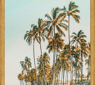 Cuadro Island Life III