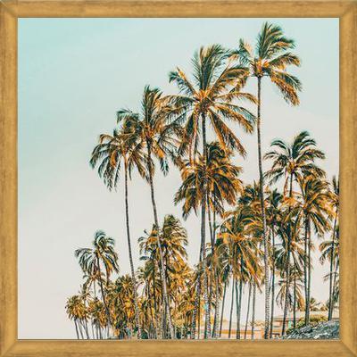 Cuadro Island Life III