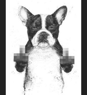 Cuadro Censored dog