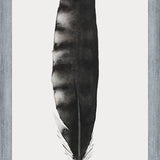 Cuadro Pluma Acuarela 3