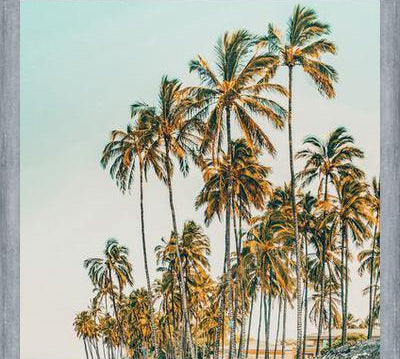 Cuadro Island Life III