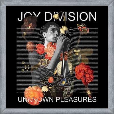 Cuadro Joy Division