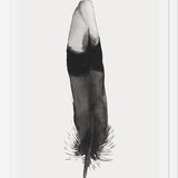 Cuadro Pluma Acuarela 2