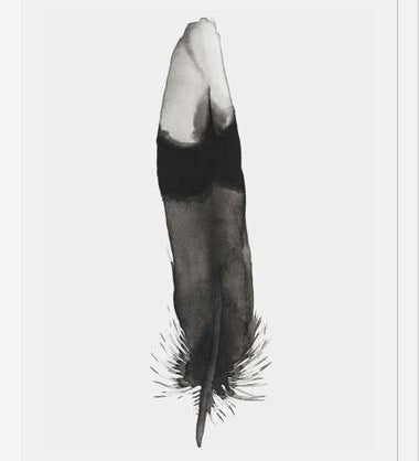 Cuadro Pluma Acuarela 2