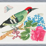 Cuadro Pájaro carpintero