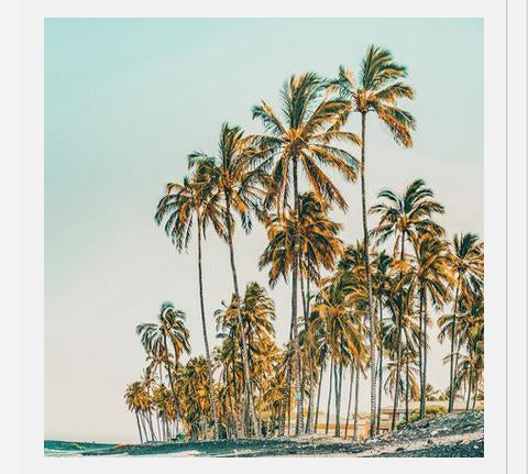 Cuadro Island Life III
