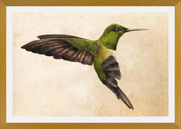 Cuadro Colibrí Verde Acuarela