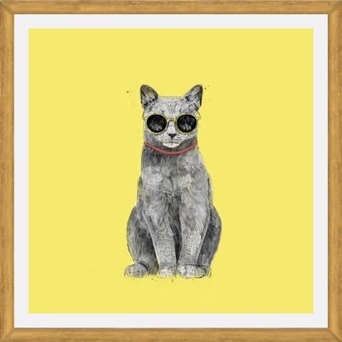 Cuadro Summer Cat