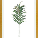 Cuadro Hoja Palma